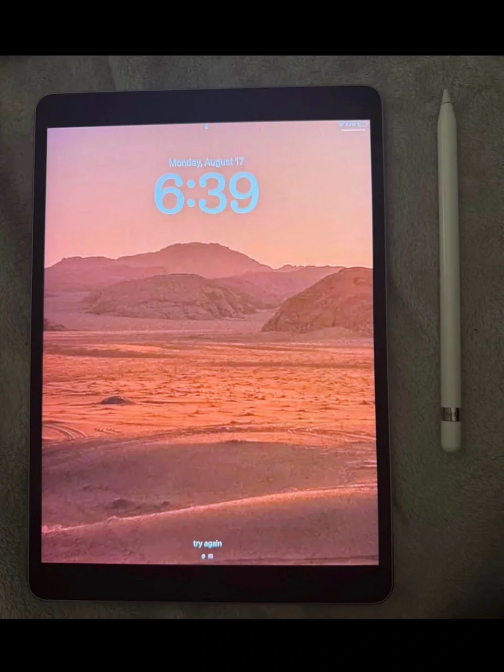 ✨📱Apple iPad with White Apple Pencil📱✨